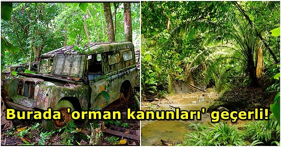 Burayı Geçmek İmkansız! Vahşi Hayvanlar ve İnsan Kaçakçılarıyla Dolu Bilinmez Bir Yol: Darien Geçidi