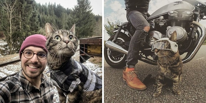 Когда жизнь кота разнообразнее твоей: Парень путешествует со своим дружком, посещая разные уголки мира