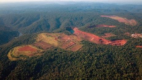 Amazon'da Yasa Dışı Ağaç Kesimine Karışmakla Suçlanan Brezilya Çevre Bakanı İstifa Etti