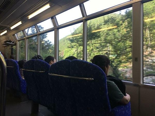 13. Güzel manzarayı görebilesiniz diye Japonya'da tren koltukları cama doğru duruyor.