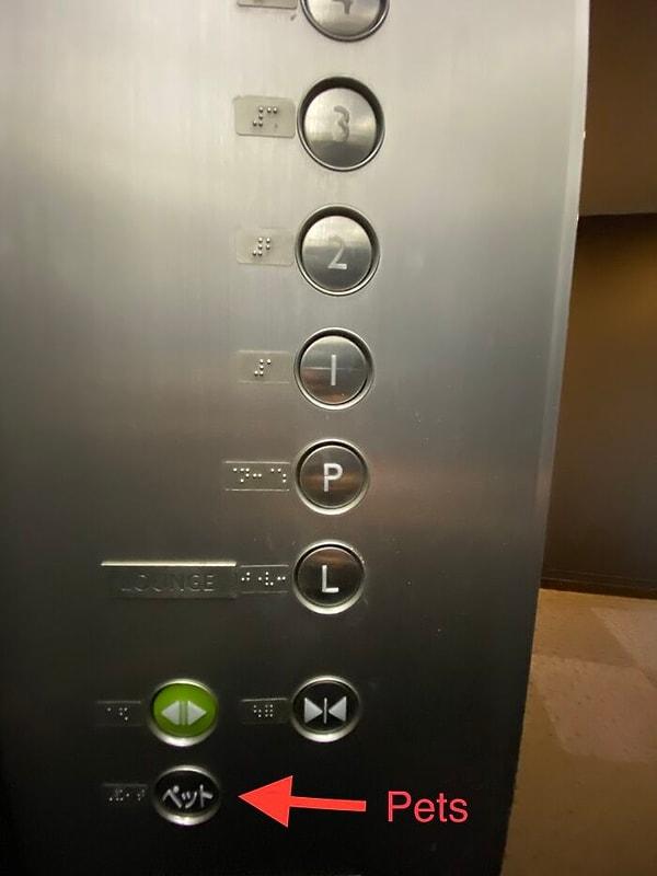 19. Tokyo'da bulunan yüksek bir binada asansörde 'evcil hayvan' butonu bulunuyor.