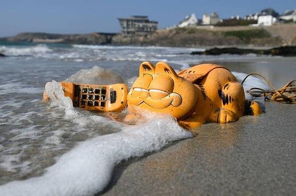 2. 1980'li yıllardan beri Garfield telefonları Frasa'nın Brittany sahillerinde kara vuruyor.