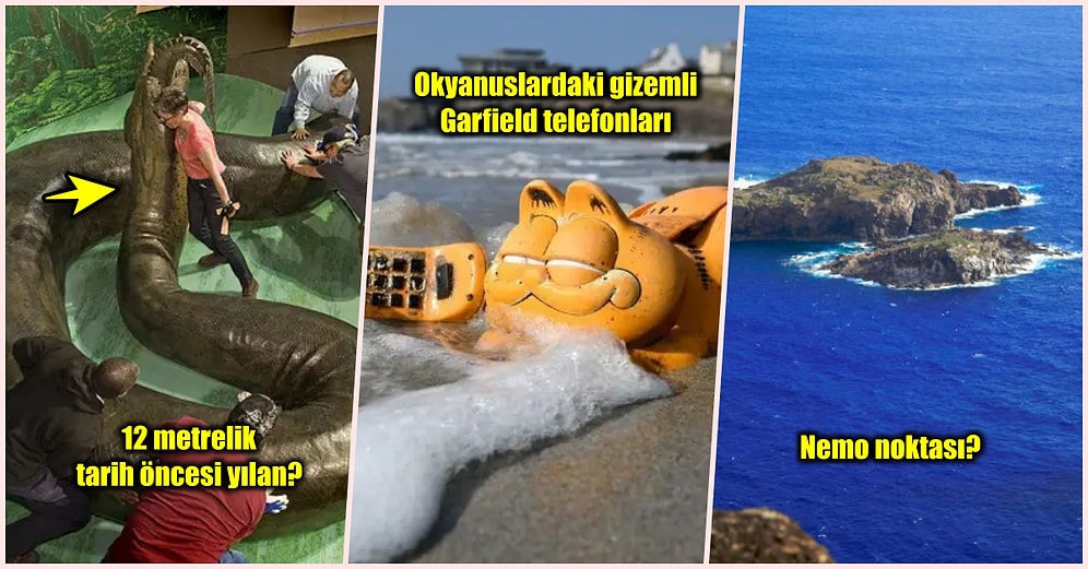 Öğrendiğinizde Sizi Hayretler İçerisinde Bırakıp Küçük Dilinizi Yutturacak Birbirinden Tuhaf 23 Bilgi