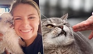 Sefil İnsan Irkının Kendisine Gösterdiği Sevgi Eylemlerine Katlanamayan 19 Asil Kedi