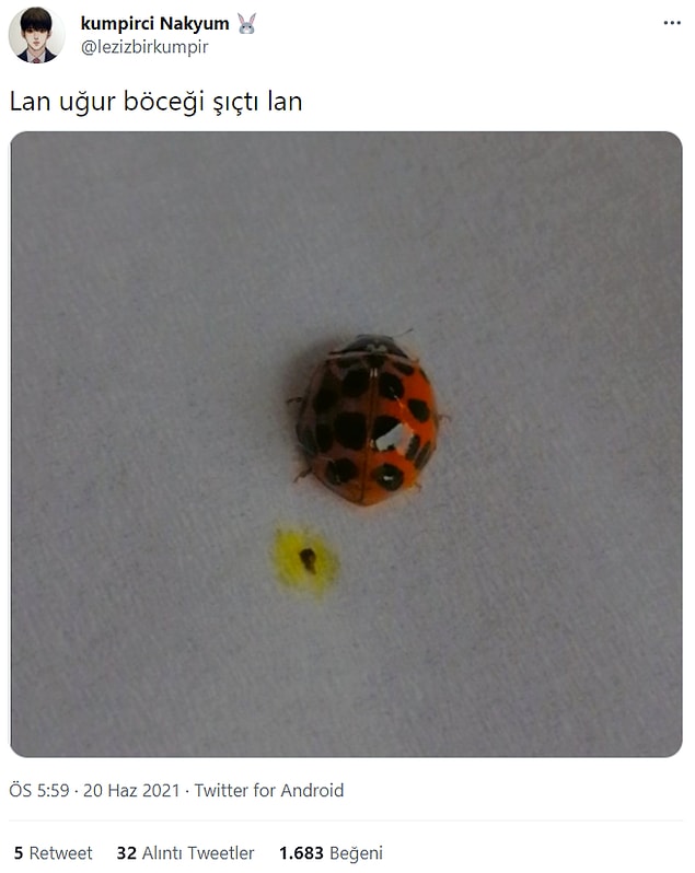 3. Instagram'a atılmaması için bilerek yapmış herhalde.