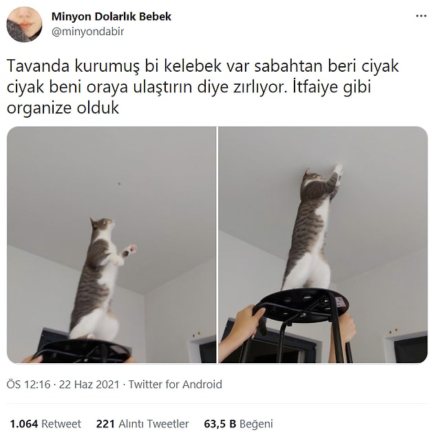11. O kelebek oradan alınacak!