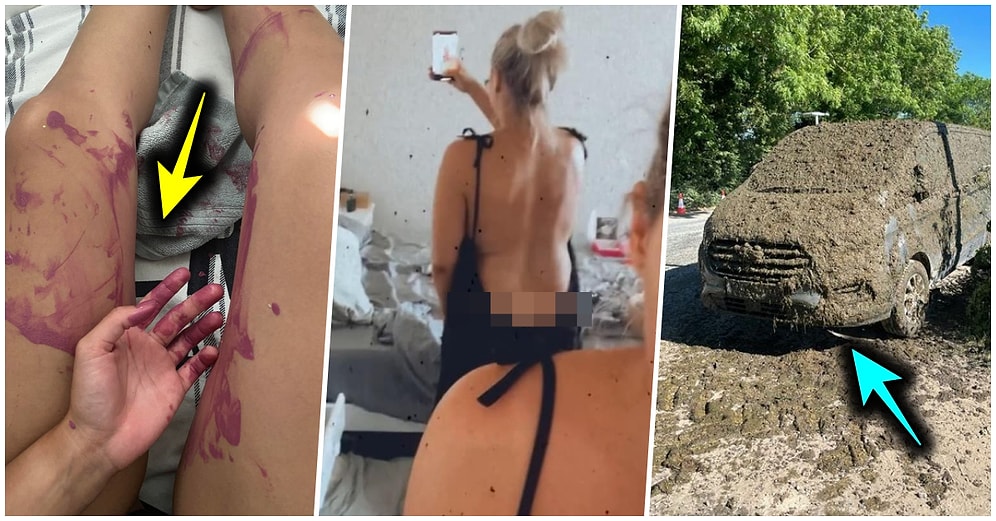 Çöle Düşse Kutup Ayılarıyla Karşılaşıp Birtakım Tatsız Olaylar Yaşayabilecek 17 Bahtsız Kişi