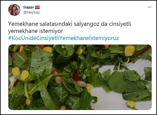 Koç Üniversitesi'nde Haremlik Selamlık Yemekhane Tezi