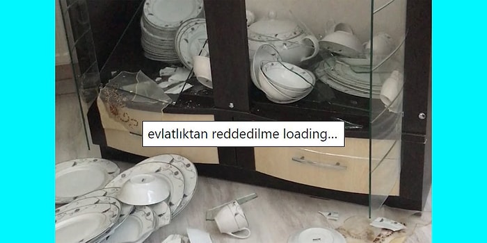 Aile Üyelerini Mizahlarına Alet Eden Goygoyculardan Haftanın En Eğlenceli 15 Paylaşımı