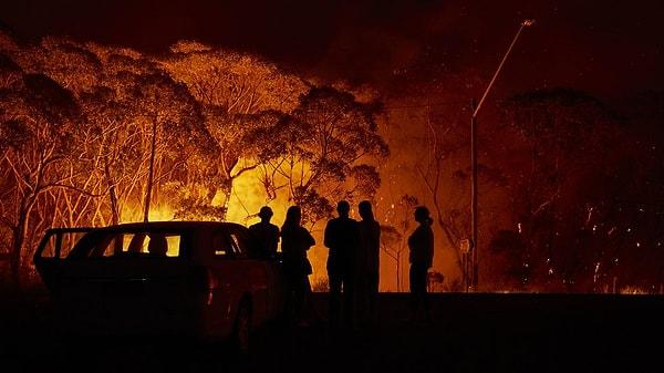 6. Orman yangınlarına sebep olabilecek her türlü ihtimali ortadan kaldırın.