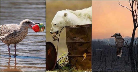 Bizim Elimizde! 8 Maddede Neden Tüm İnsanların Ekoloji Hakkında Bilgi Sahibi Olması Gerektiğini Anlatıyoruz!