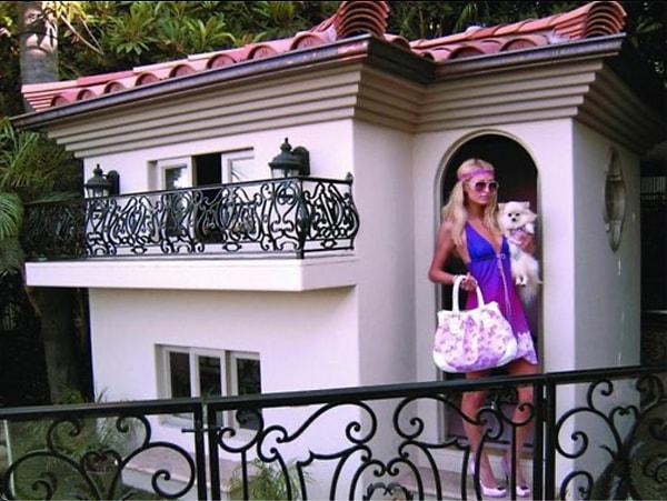 9. Paris Hilton da evcil hayvanları için hiçbir harcamadan kaçınmayan bir diğer isim.