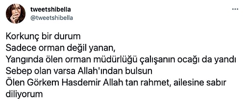 Ciğerimizi Yakan ve Bir Şehit Verdiğimiz Marmaris'teki Orman Yangınına İsyan ve Reaksiyonlar Çığ Üzere Büyüyor