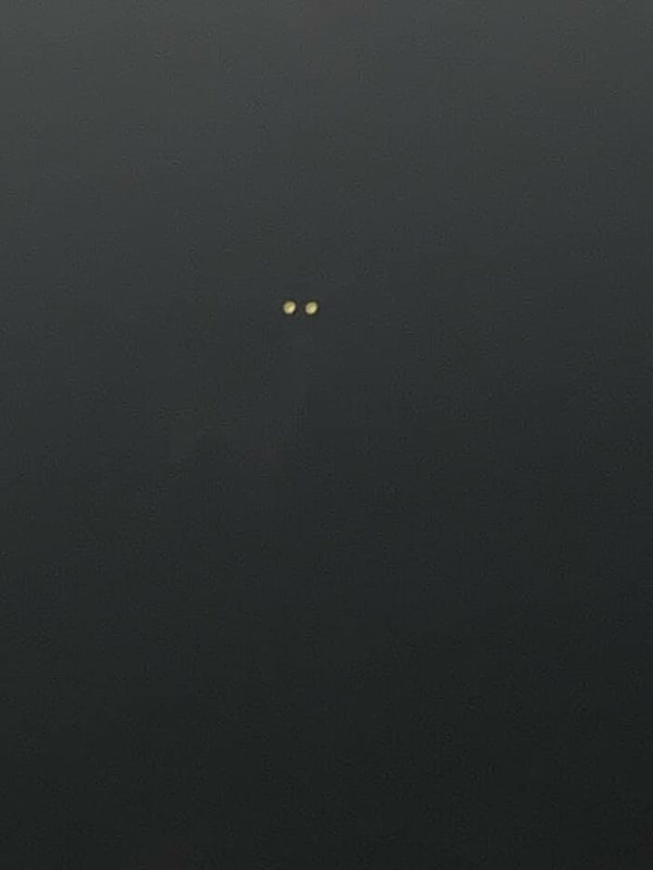 1. Сфотографировал сегодня оленя