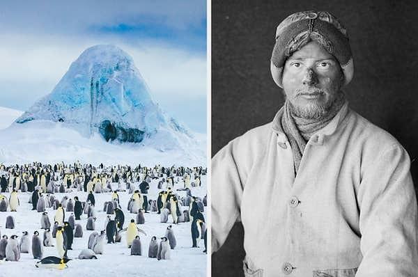 13. Temmuz 1911'de Antarktika'ya yapılan bir keşif sırasında, kaşif Apsley Cherry-Garrard'ın dişleri o kadar şiddetli bir şekilde çatırdadı ki paramparça oldular.