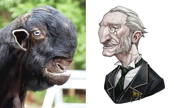 10. Дамасская коза