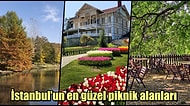 Mangal Zamanı! Pazar Günleri İstanbul'da Ailenizle Piknik Yapabileceğiniz Mekanlar