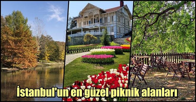 Mangal Zamanı! Pazar Günleri İstanbul'da Ailenizle Piknik Yapabileceğiniz Mekanlar