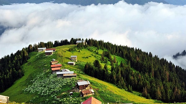 9. Pokut Yaylası, Rize