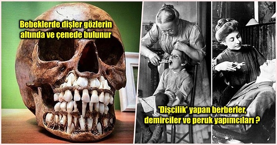 Öğrendiğinizde Sizleri Hayretler İçinde Bırakacak Dişlerle İlgili Son Derece Rahatsız Edici 28 Gerçek