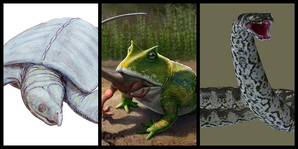 Geçmişte Yaşamış ve Soyu Tükenmiş Olduğu İçin Üzülmemeniz Gereken 10 Canlı Türü