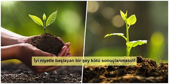 Ekosistemi Bozmayalım: 9 Maddede Neden Her Yere Fidan Dikimi Yapılmaması Gerektiğini Anlatıyoruz!