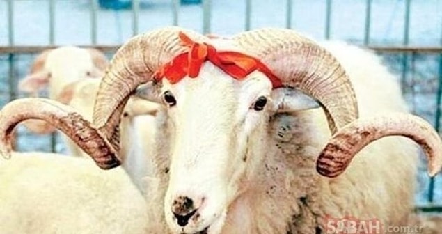 Kurban Bayramı Tatili Kaç Gün Olacak?