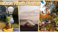 Piknik Zamanı Geldi! Ankara'da Piknik Yapılabilecek 15 Mekan