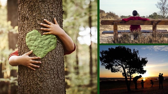 Doğanın Güzelliklerinin Farkında Olarak Yaşamanın Hayatınızda Değiştireceği 11 Şey