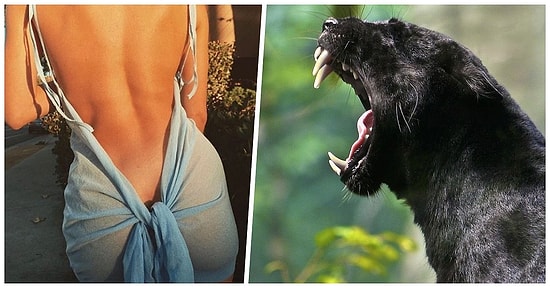 Karşı Cinste Görür Görmez Vücuttaki Libidonun Adeta Sel Olup Aktığı Detaylar