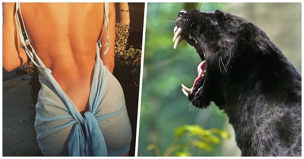 Karşı Cinste Görür Görmez Vücuttaki Libidonun Adeta Sel Olup Aktığı Detaylar