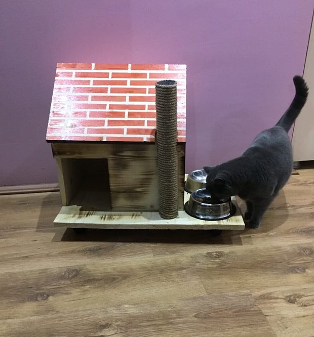 Minik Dostunuza Armagan Edebileceginiz En Guzel Kedi Esyalari
