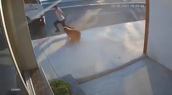 Köpekten Korkup Kaçarken Yola Atlayan Kişiye Kamyon Çarptı