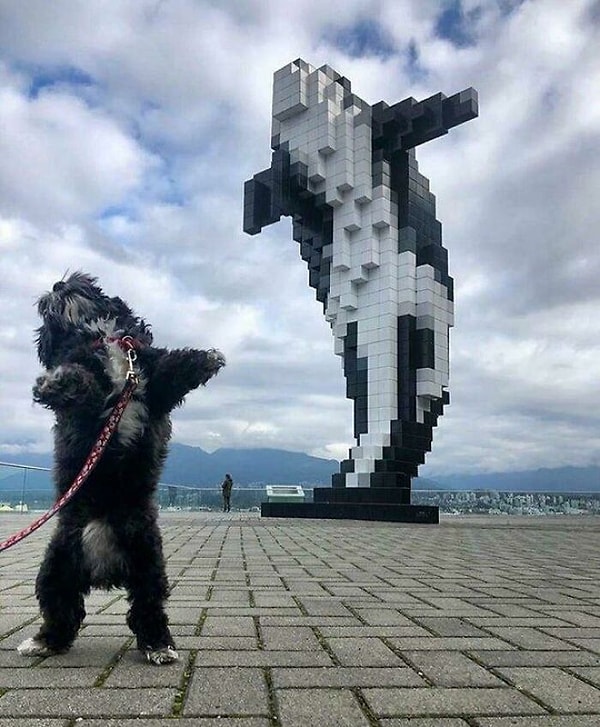 11. Братанчики