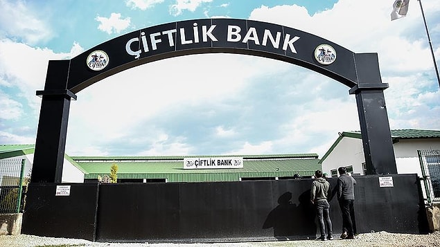 Yüzbinlerce mağdur