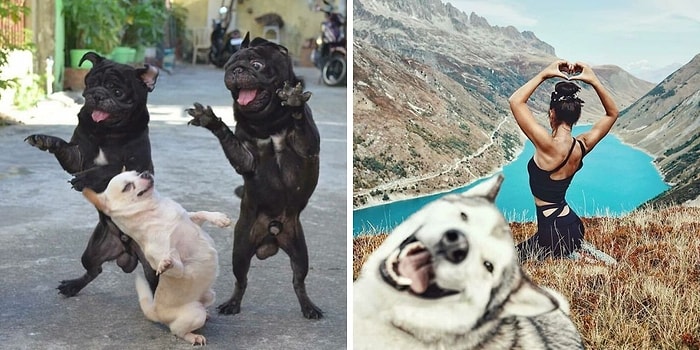 15 самых милых фото с собачками, которые заставят вас улыбнуться и сделают ваш день лучше