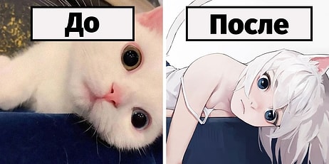 Японская художница показывает, как бы выглядели 10 кошек, будь они в теле девушек из аниме