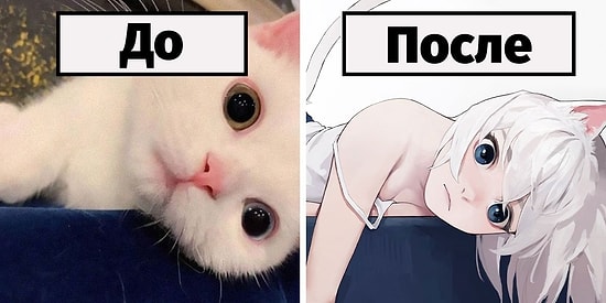 Японская художница показывает, как бы выглядели 10 кошек, будь они в теле девушек из аниме