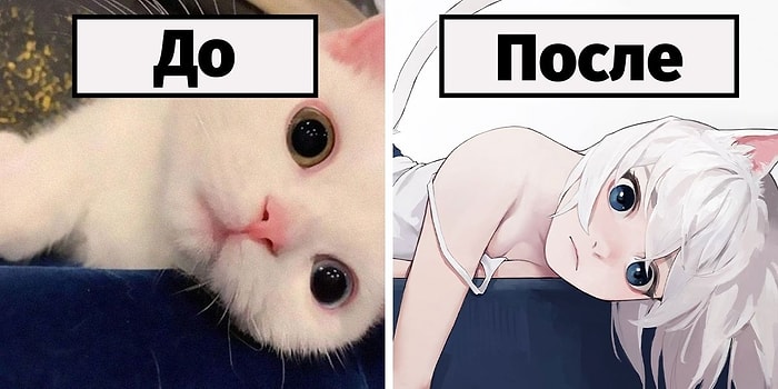 Японская художница показывает, как бы выглядели 10 кошек, будь они в теле девушек из аниме