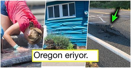 Termometrelerin 50 Dereceyi Gösterdiği Kanada ve Oregon'daki Vahim Durumu Gözler Önüne Seren Kareler