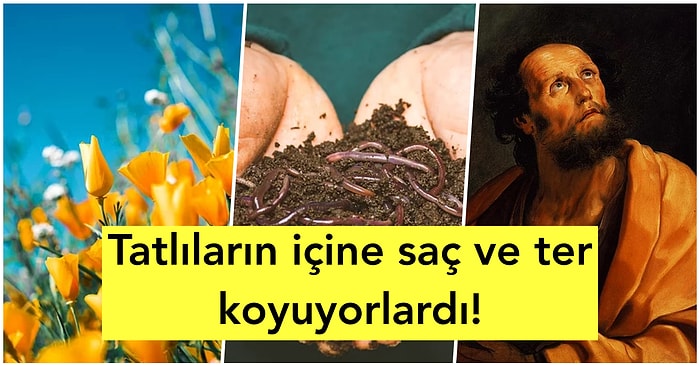 Afrodizyak Etkisine Sahip Oldukları İçin Tarih Boyunca Kullanılan Birbirinden Garip İksirler