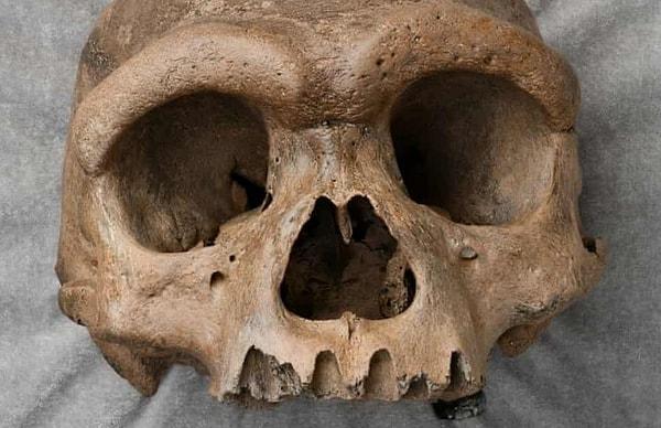 Geçtiğimiz günlerde ise uzman antropologlar, 'Ejderha Adam' adını verdikleri bu kafatasının yaklaşık 146 bin yıl önce yaşamış yeni bir insan türüne ait olduğunu açıkladı!