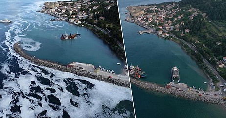 Sevindiren Haber! Marmara'nın Güney Sahillerinde Görülen Müsilaj Büyük Ölçüde Etkisini Yitirdi