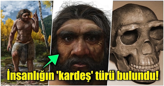 Çin'de Keşfedilen 'Ejderha Adam' Fosili Modern İnsana Benzeyen Yeni Bir Soyu Ortaya Çıkarttı!