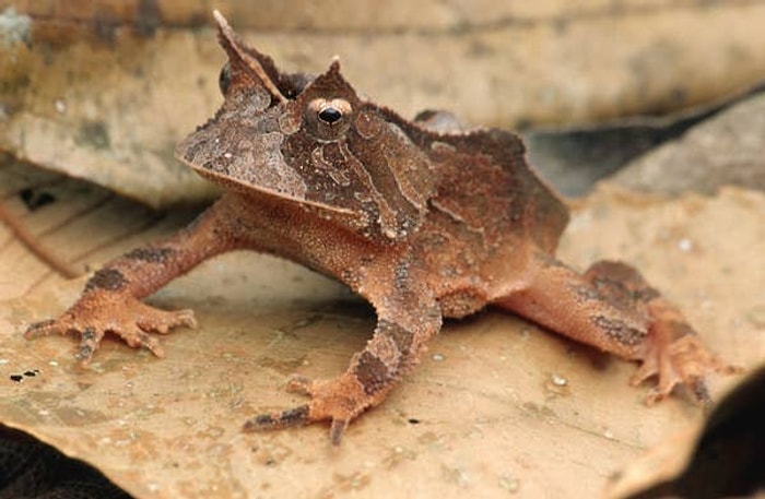 10 странных фактов, от которых у вас вспотеют ладони (Продолжение)