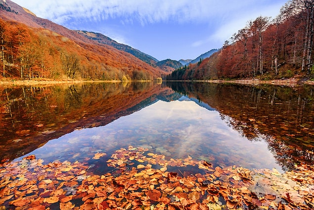 16. Biogradska Gora