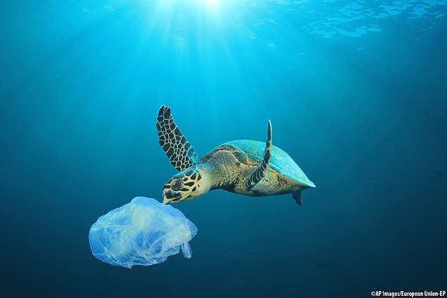 Plastiksiz Temmuz (Plastic-Free July) Nedir?