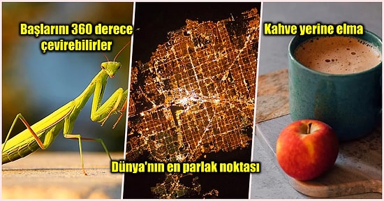 Öğrendiğinizde Sizi Bir Yaşınıza Daha Girdirip Ağzınızı Açık Bırakacak Birbirinden İlginç 21 Bilgi