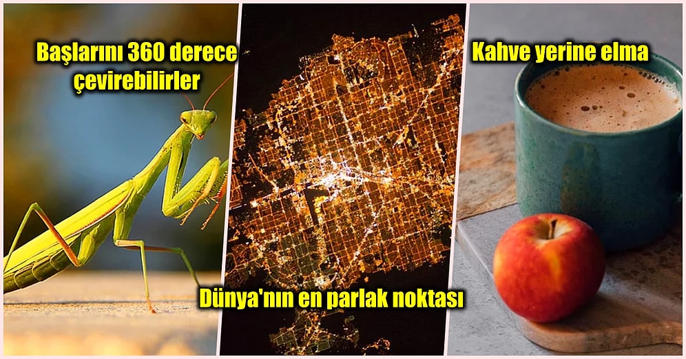 Öğrendiğinizde Sizi Bir Yaşınıza Daha Girdirip Ağzınızı Açık Bırakacak Birbirinden İlginç 21 Bilgi