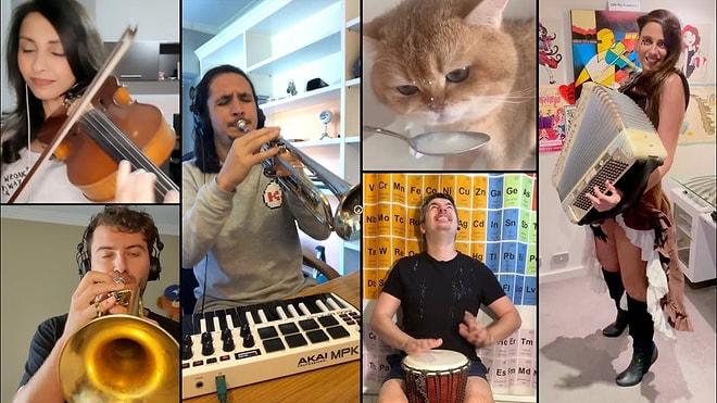 Namnam Kedi Lakaplı Leo'ya Dünyanın Dört Bir Yanından Müzisyenler Eşlik Etti Ortaya Muhteşem Bir Mashup Çıktı